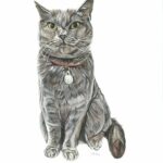 Emily cat