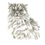 cat art print by emily