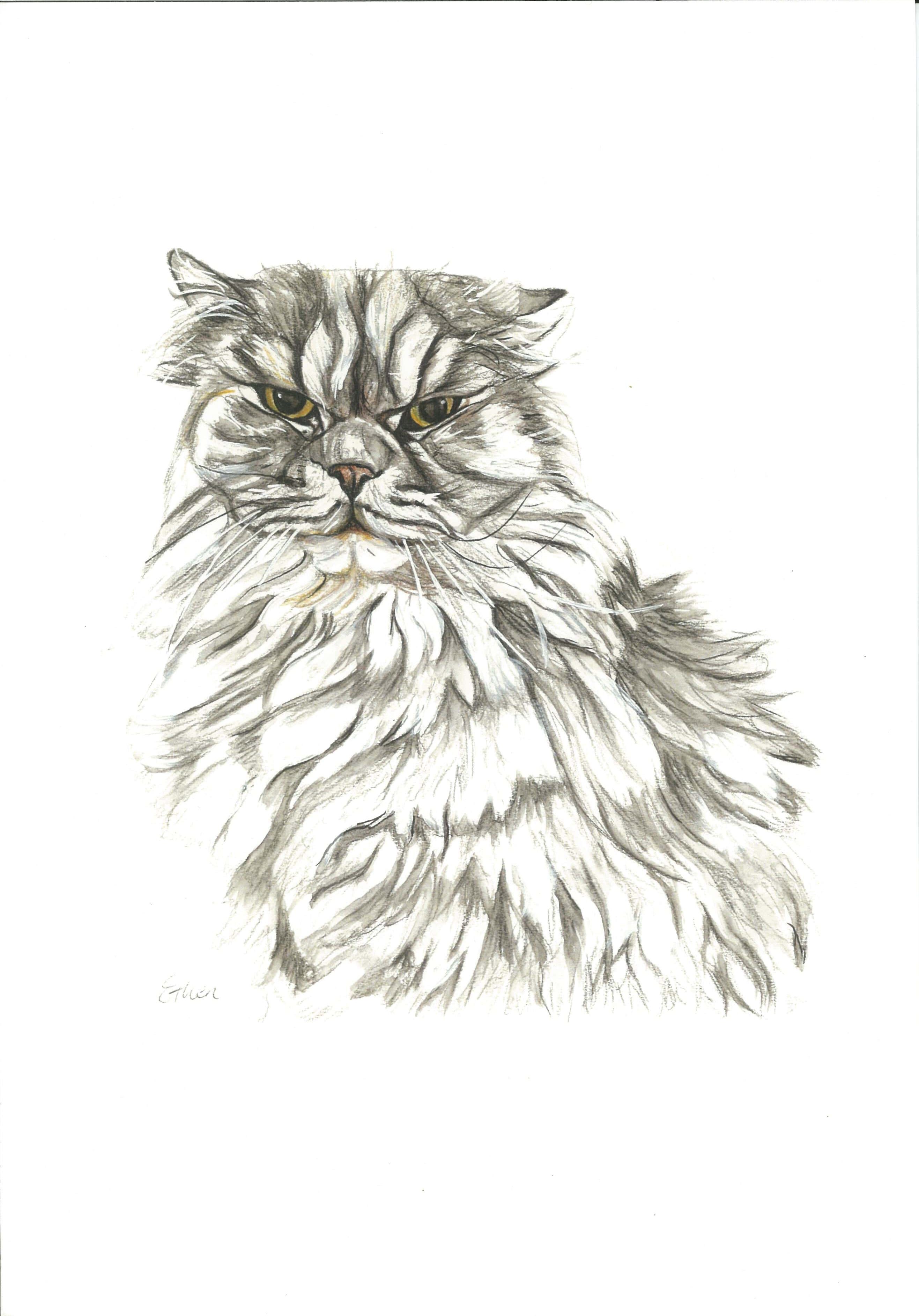 cat art print by emily