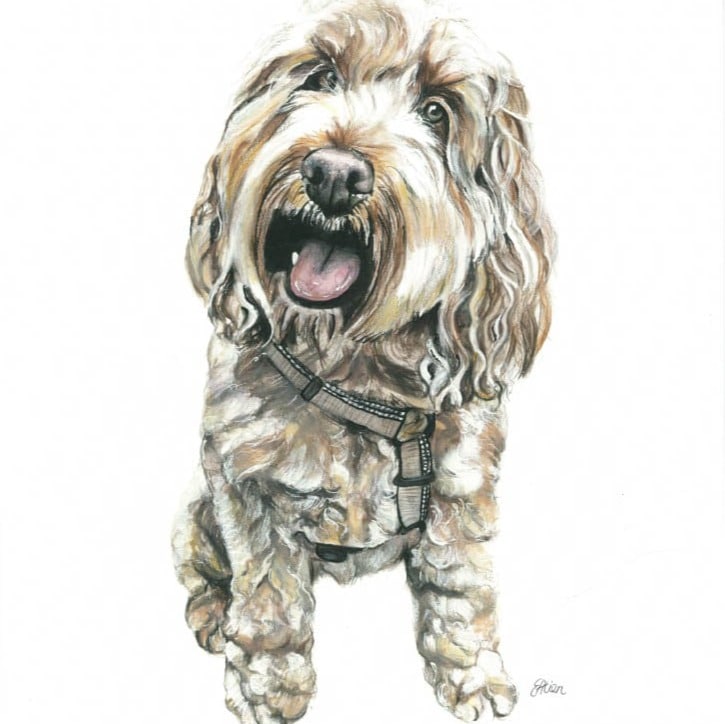 dog art print by emily dog art print by emily