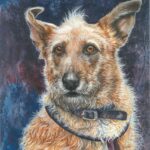 gaby print dog