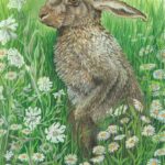 gaby print rabbit
