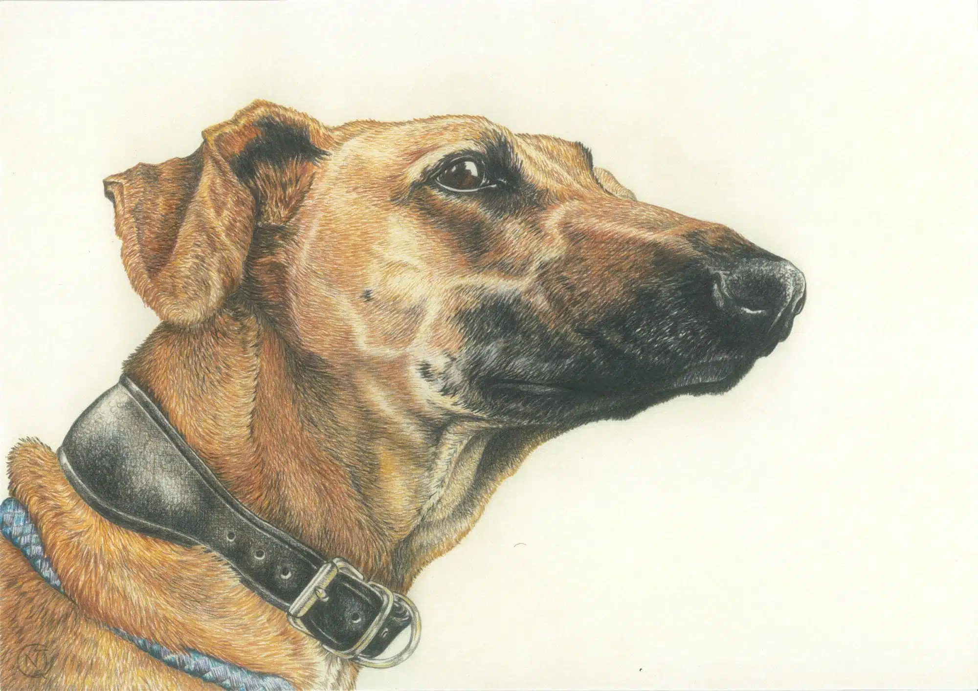 quality dog art print